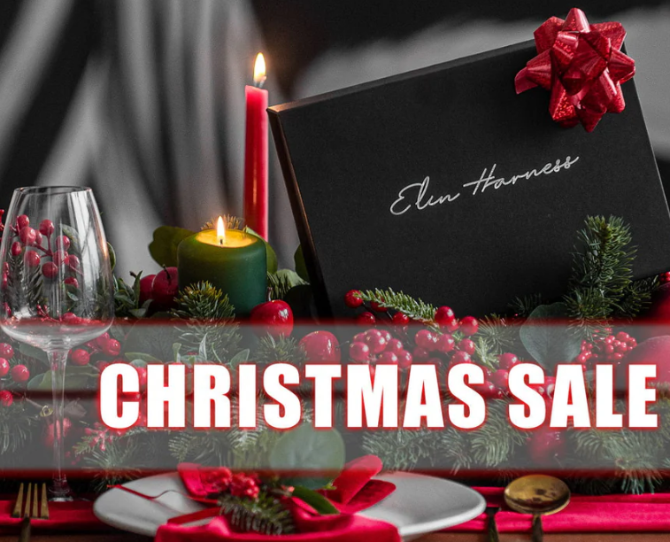 Christmas Gift Guide: Latex & Leather Harnesses That Make a Bold Statement