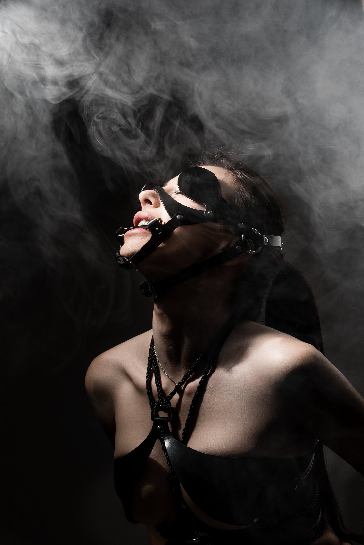 Collars, Leashes & Restraint Accessories: Choosing the Right Fit