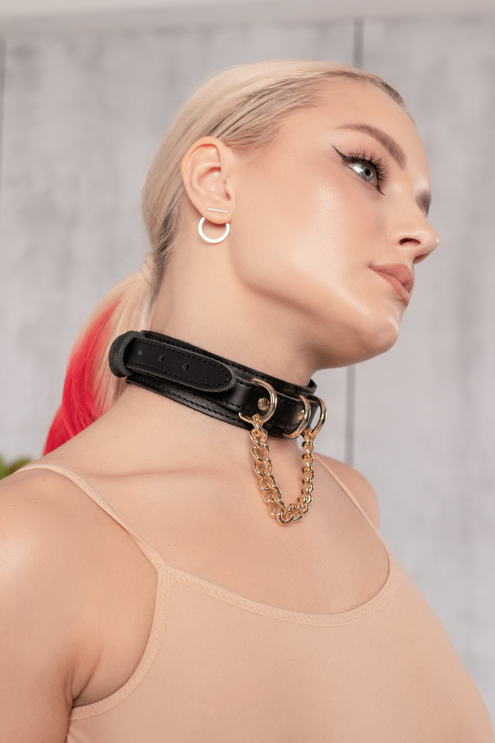 Leather Collar with D-rings and Chain