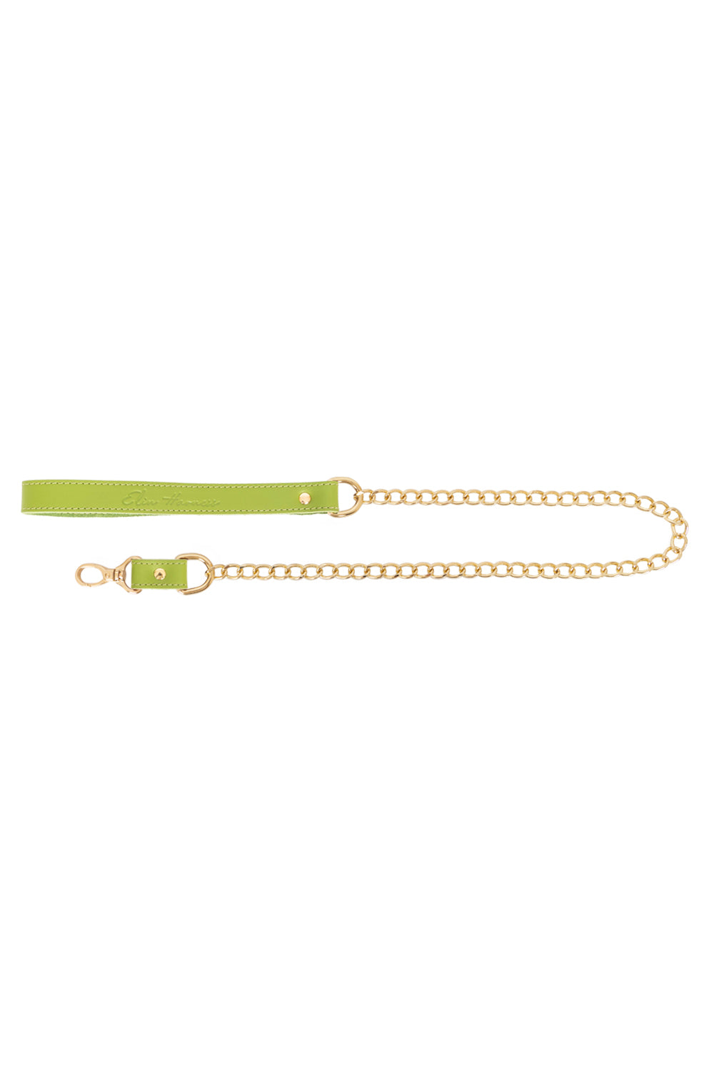 Chain Standard Links Leash