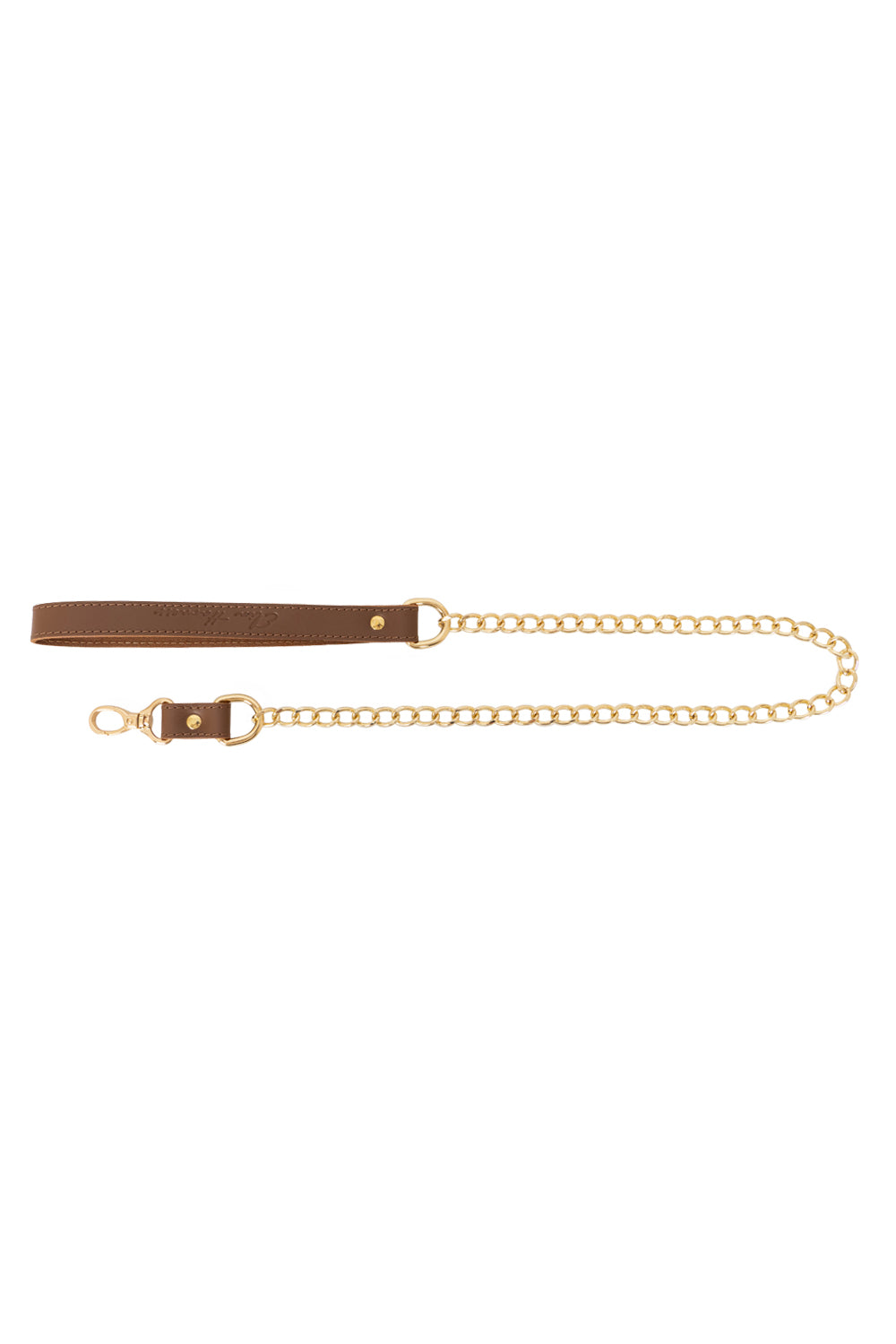 Chain Standard Links Leash