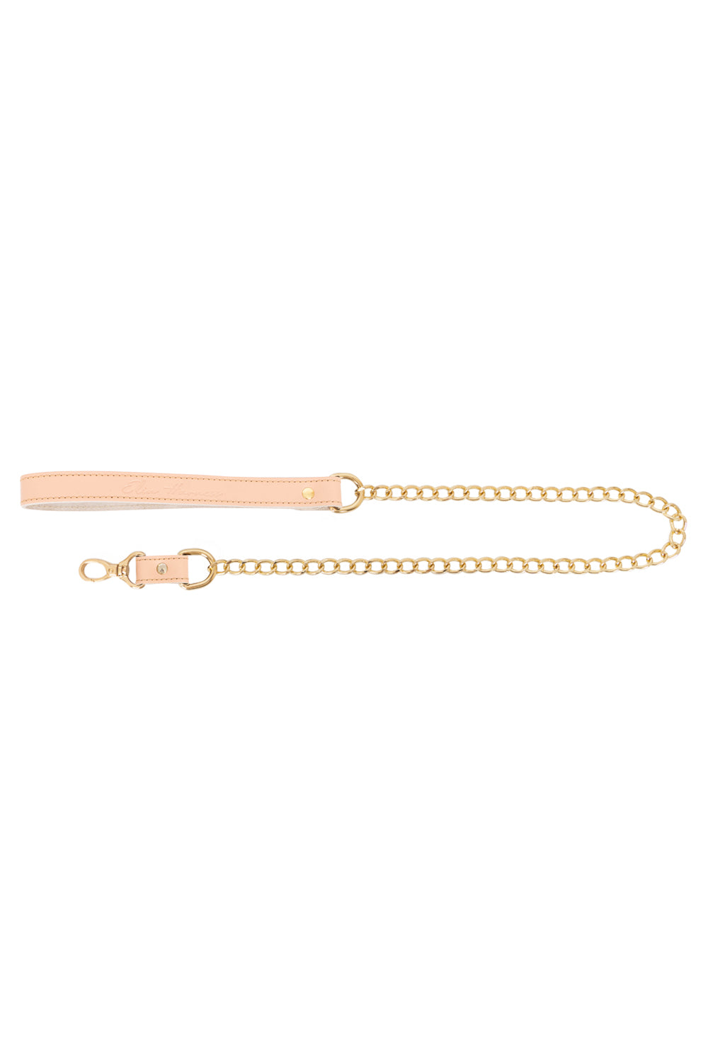 Chain Standard Links Leash