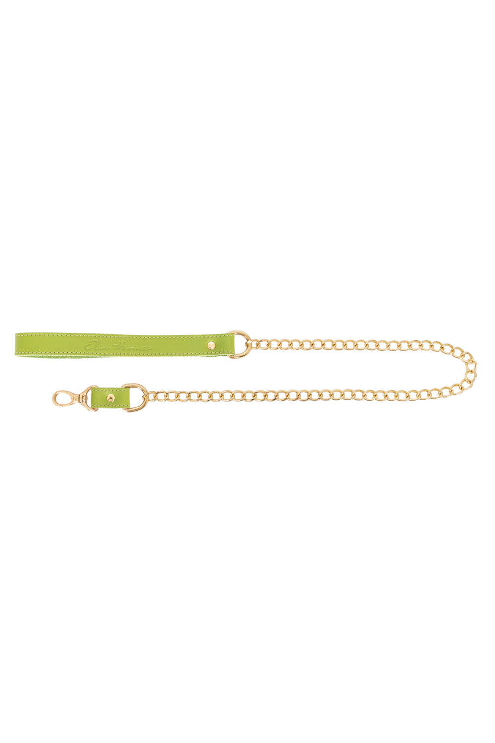 Chain Large Links Leash