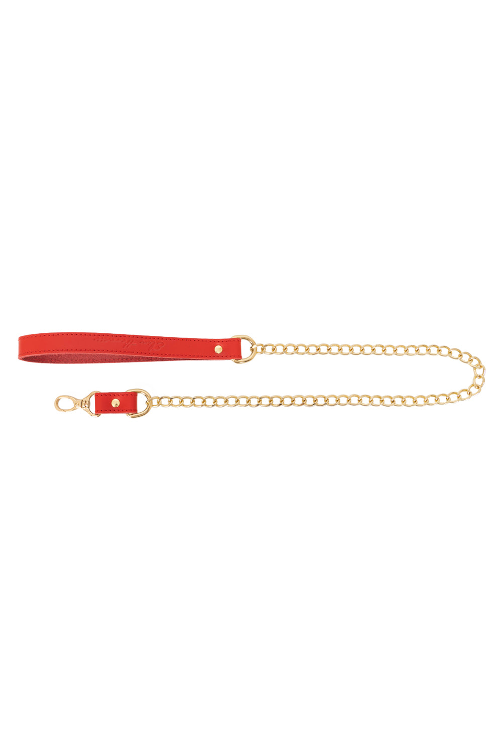 Chain Standard Links Leash