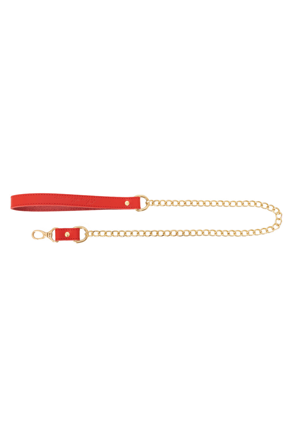 Chain Large Links Leash