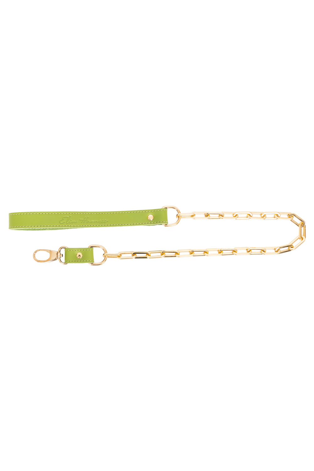 Chain Standard Links Leash