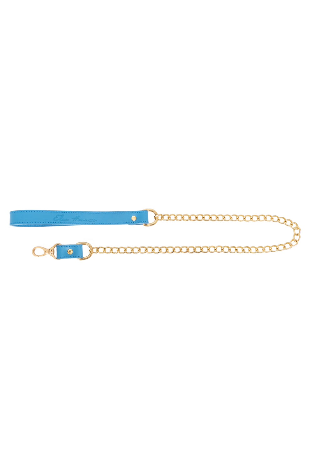 Chain Standard Links Leash