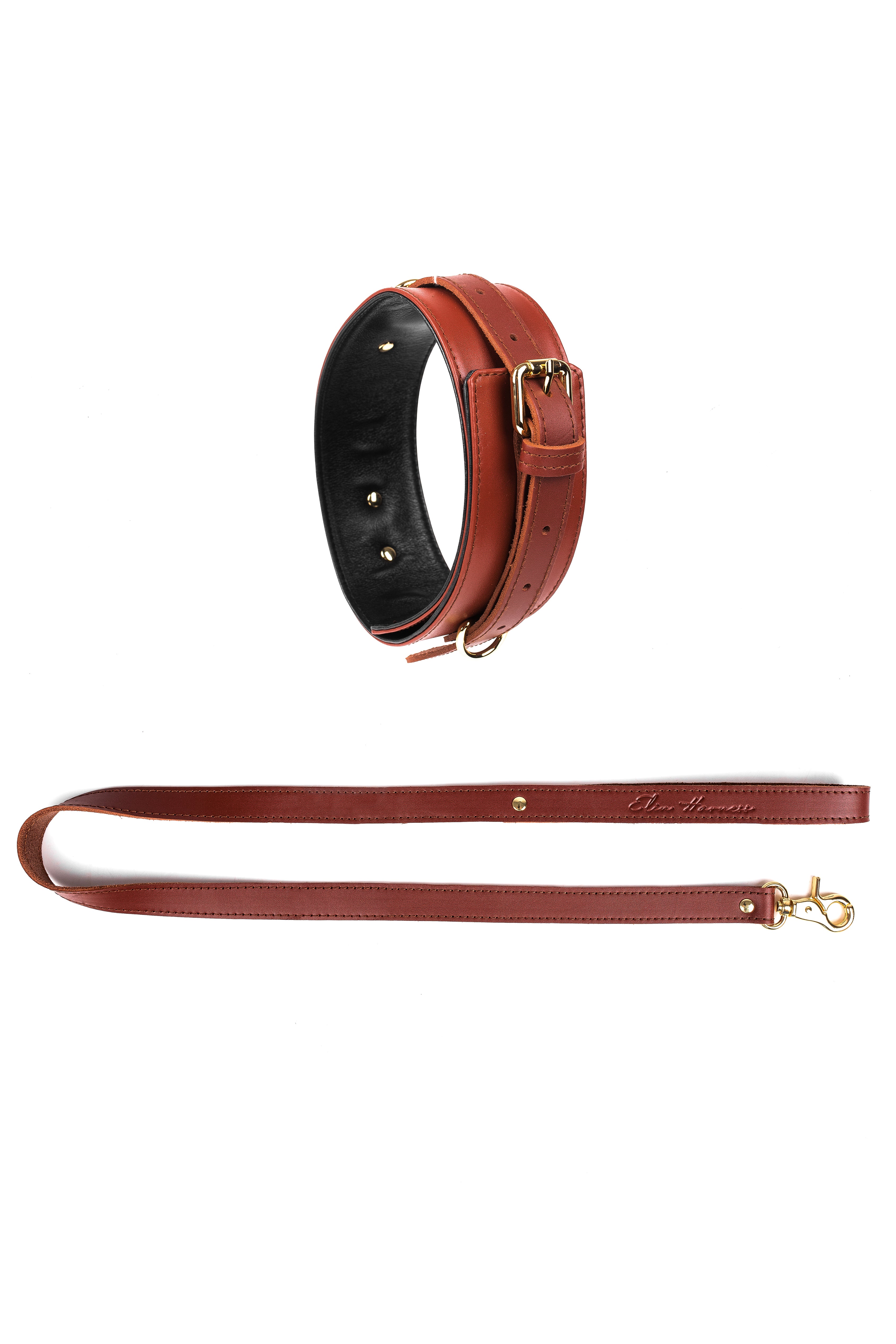 Leather Choker with Leash. 10 colors