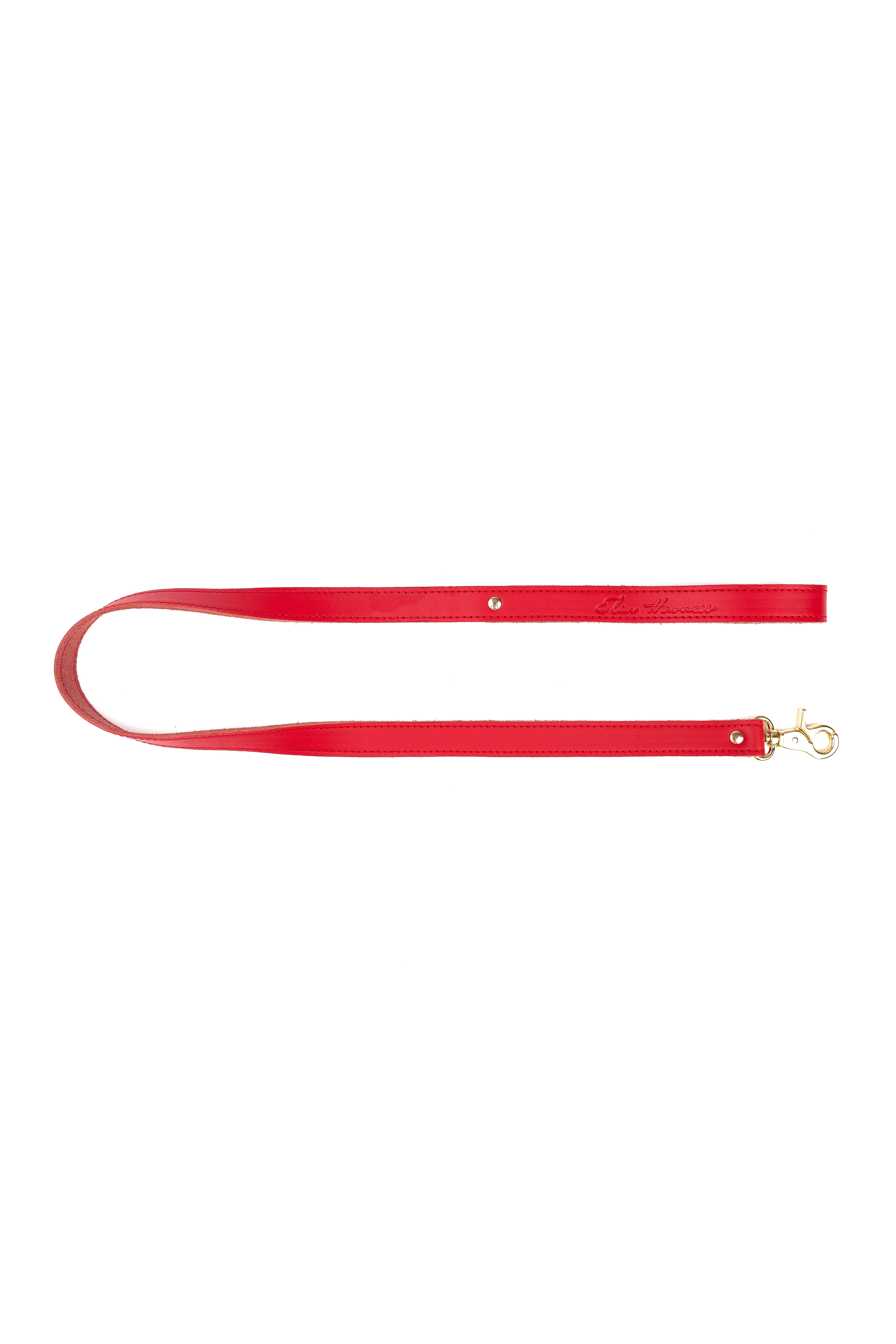 Leather leash. Green