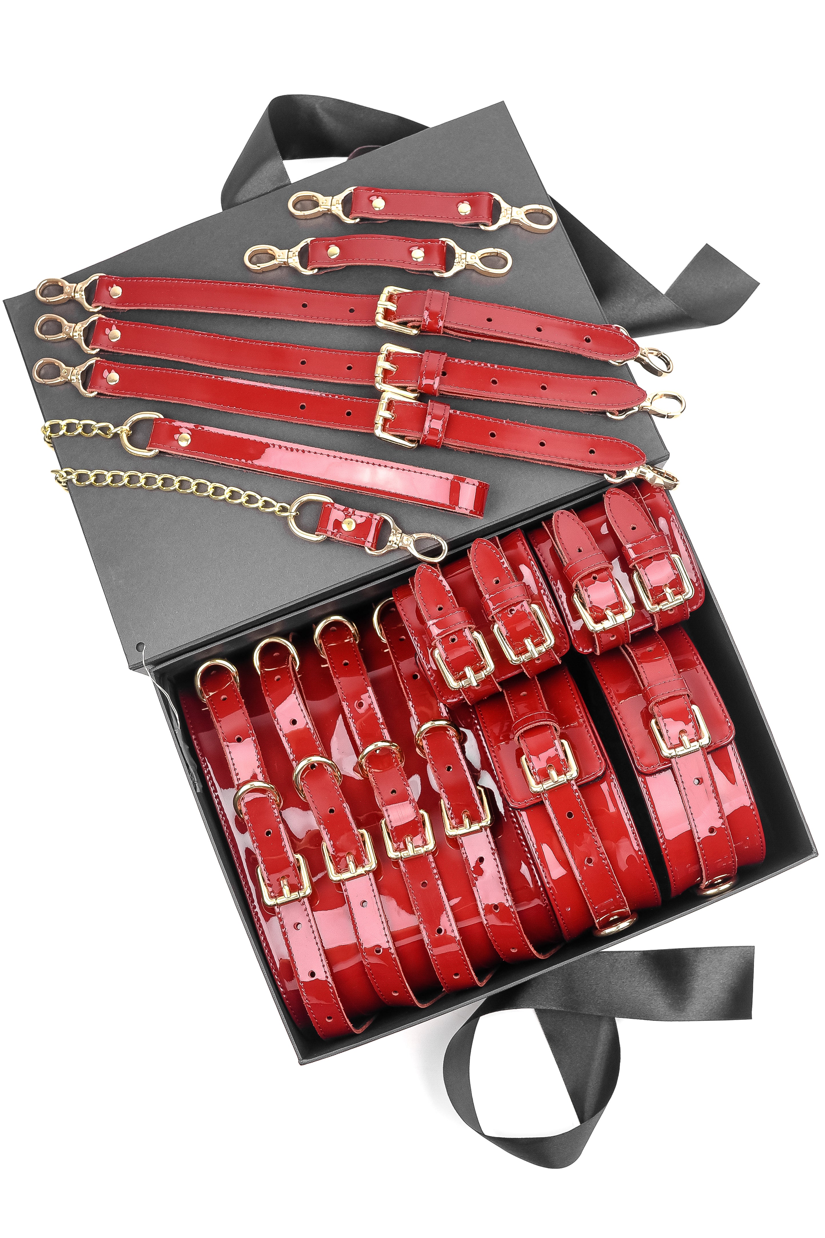 Luxury Lacquered Leather BDSM Set