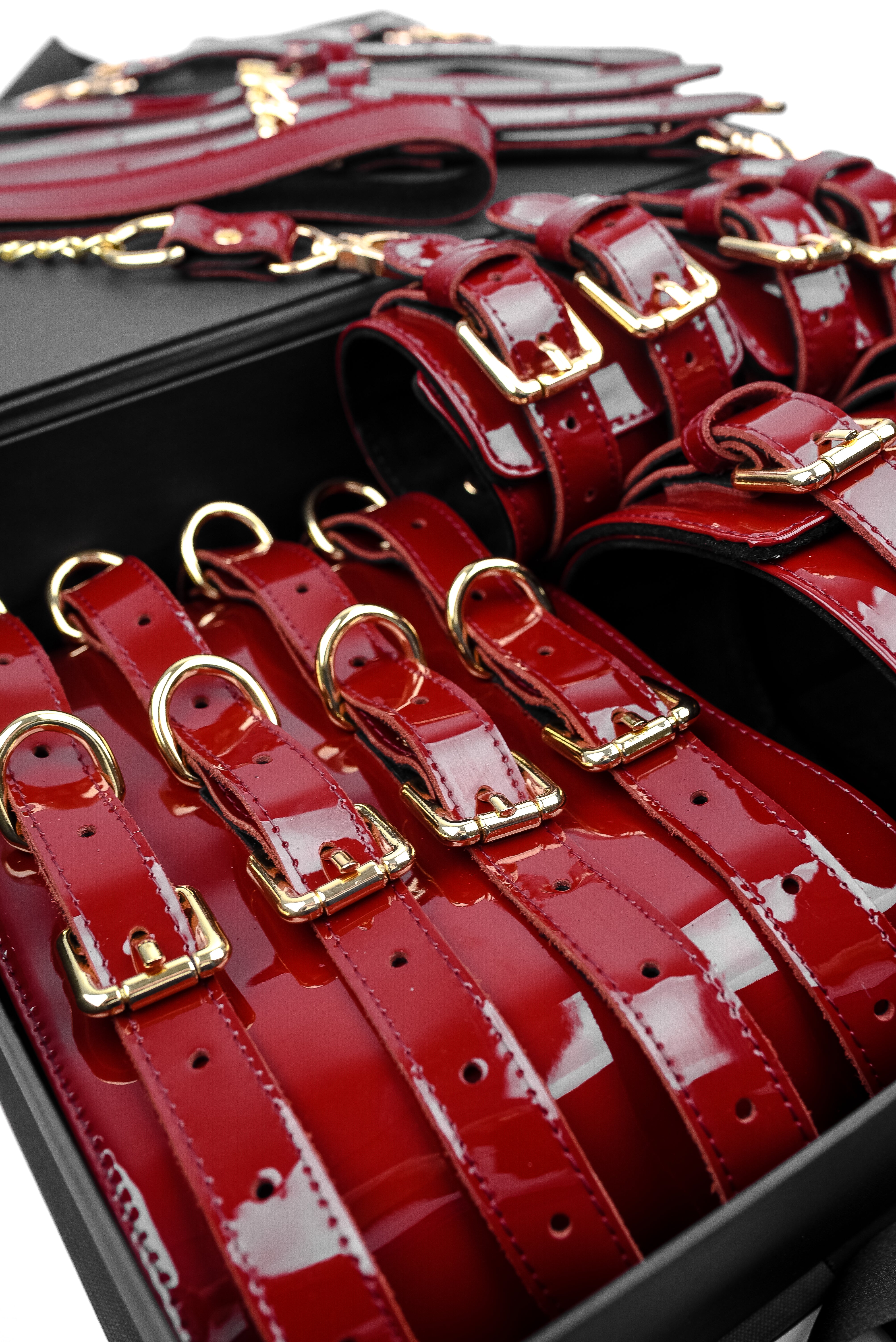 Luxury Lacquered Leather BDSM Set