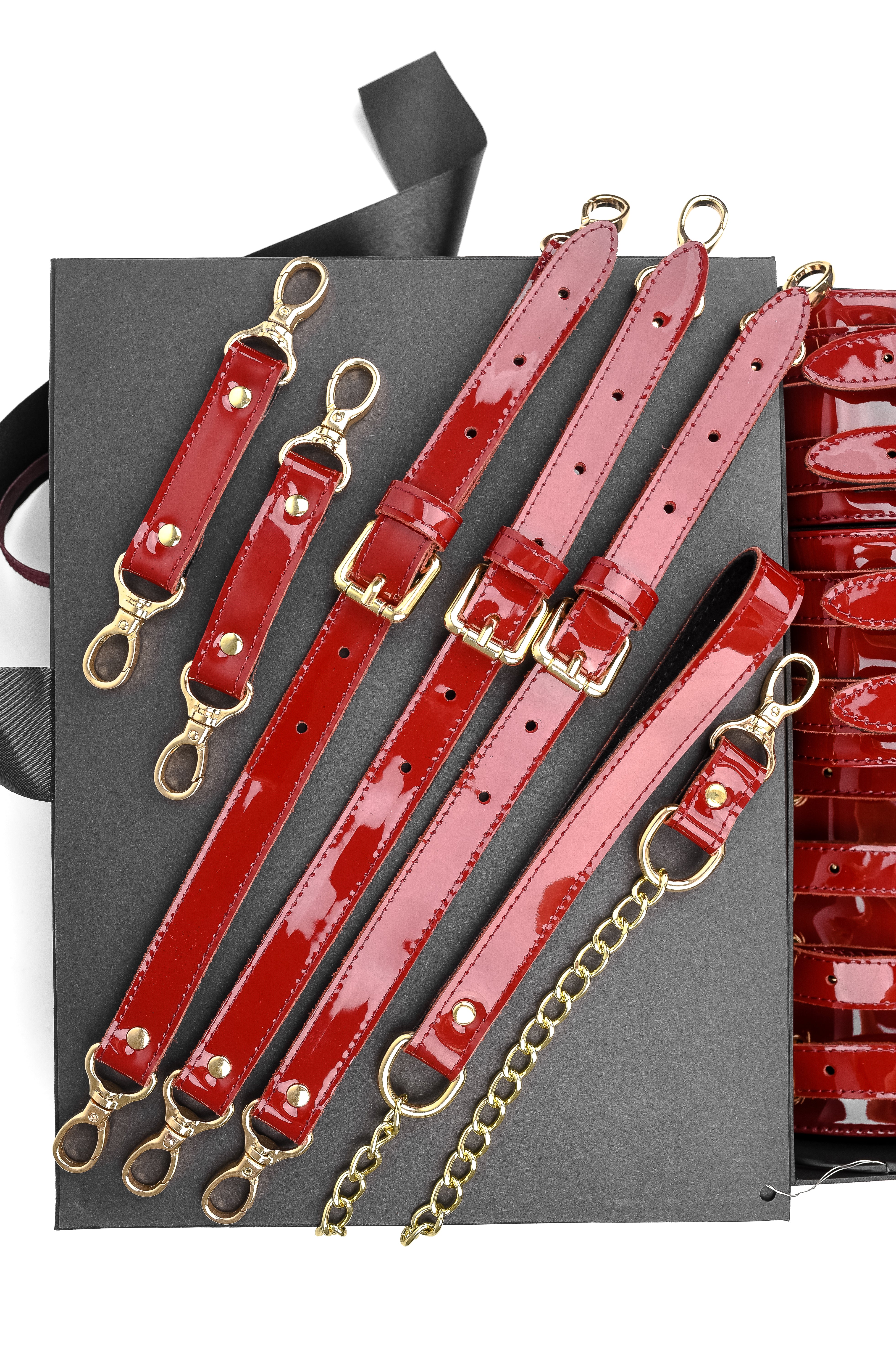 Luxury Lacquered Leather BDSM Set