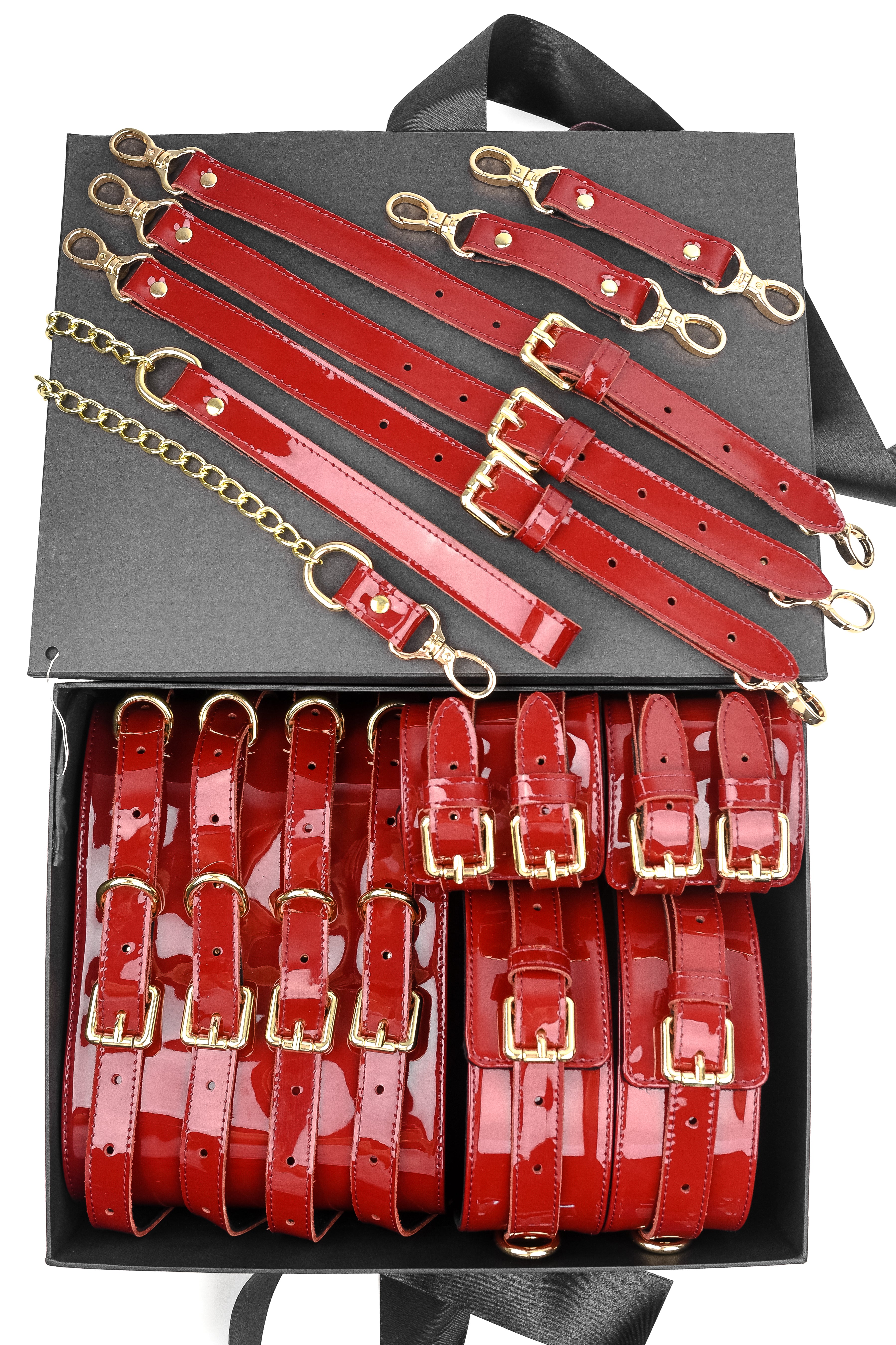 Luxury Lacquered Leather BDSM Set