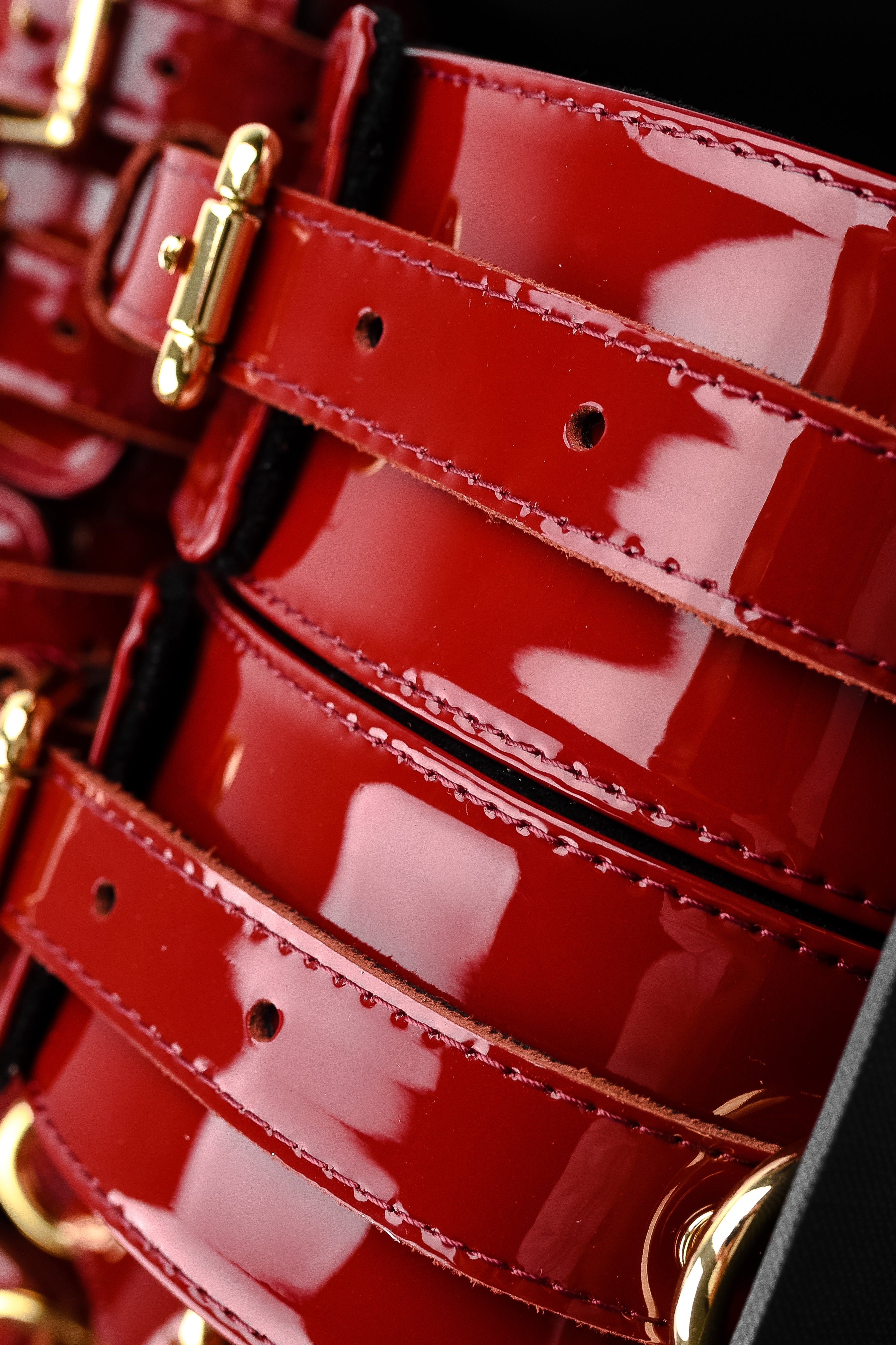 Luxury Lacquered Leather BDSM Set