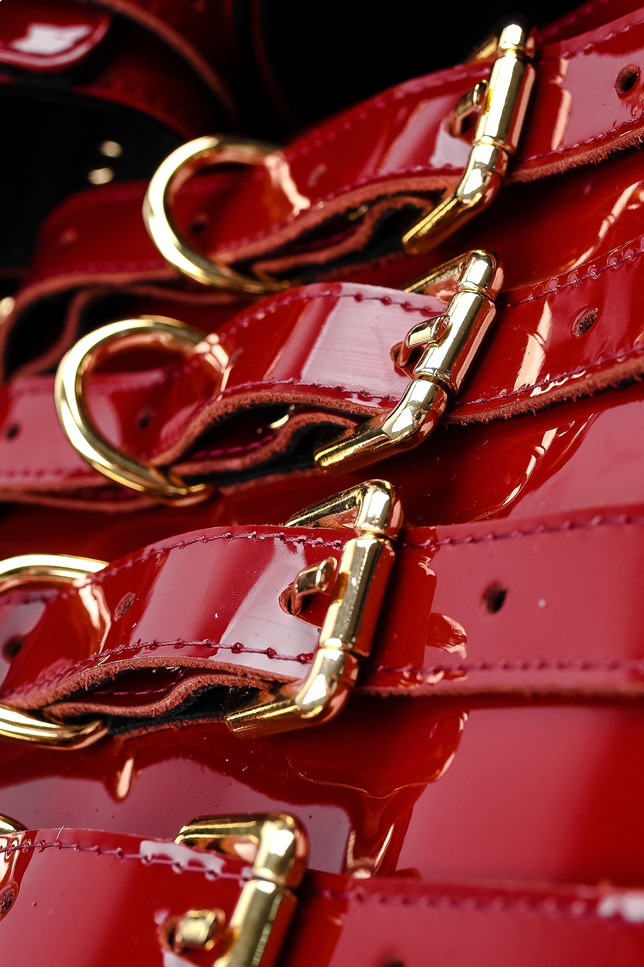 Luxury Lacquered Leather BDSM Set