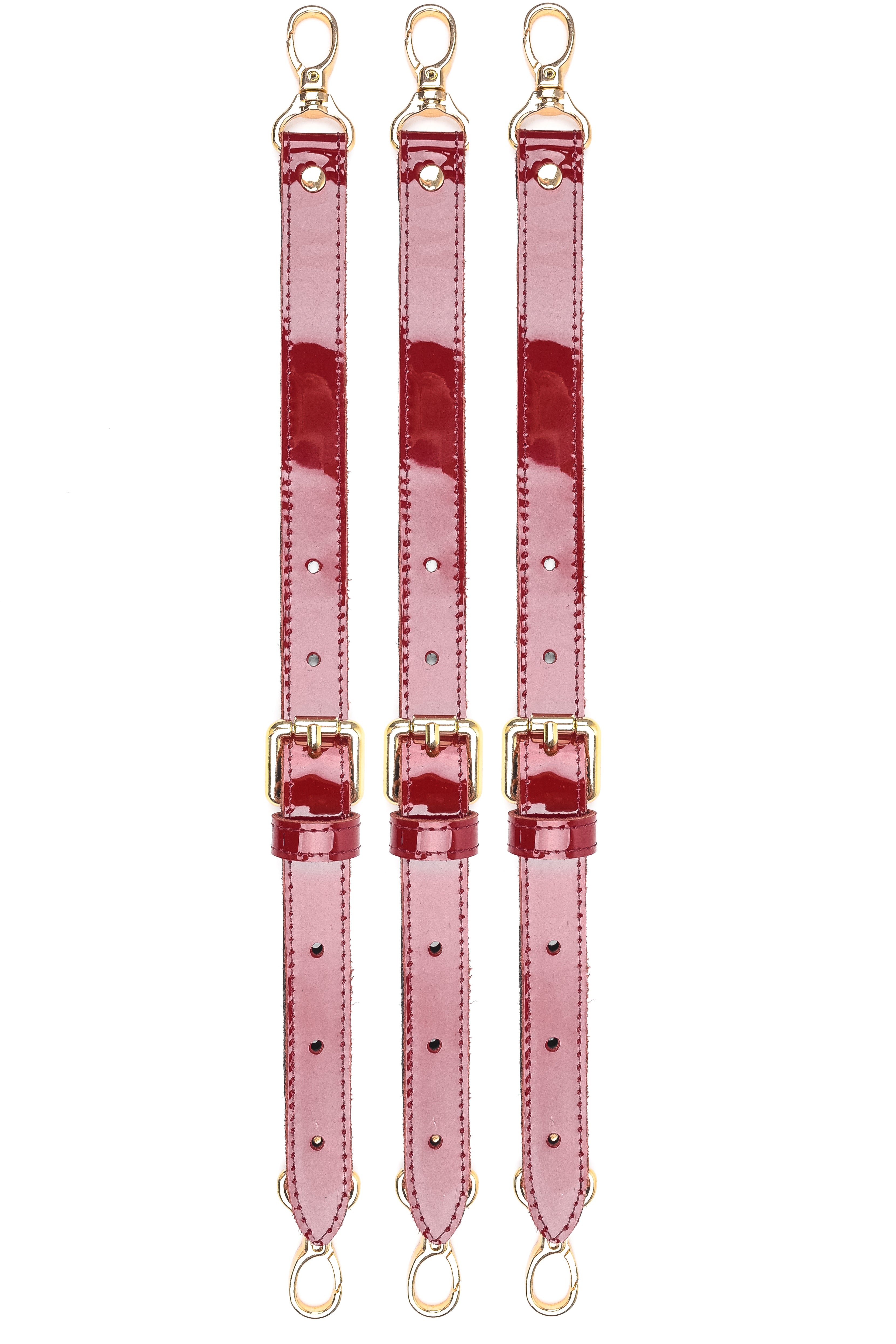 Luxury Lacquered Leather BDSM Set