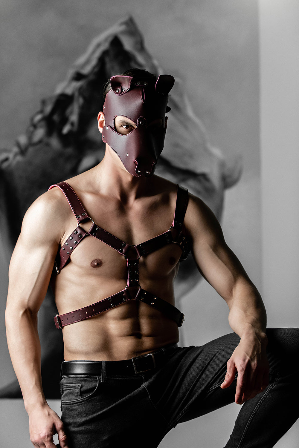 Dog mask with detachable muzzle. Red