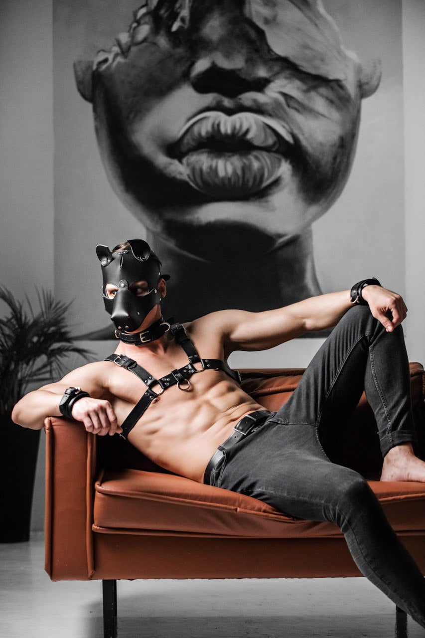 Dog mask with detachable muzzle. Black