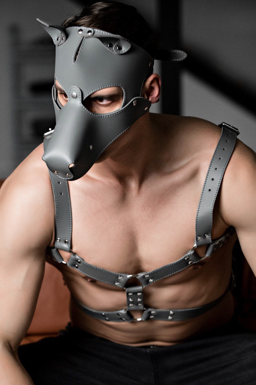 Dog mask with detachable muzzle. Gray