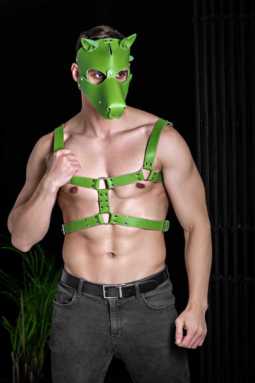 Dog mask with detachable muzzle. Green