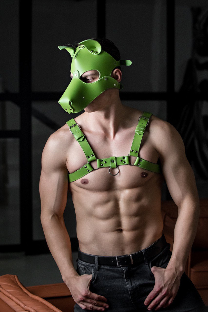 Dog mask with detachable muzzle. Green