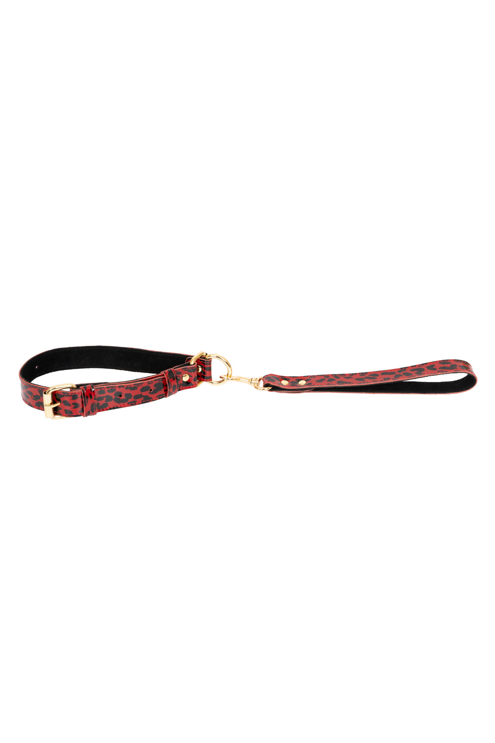 Lacquered leather self-tightening choke collar
