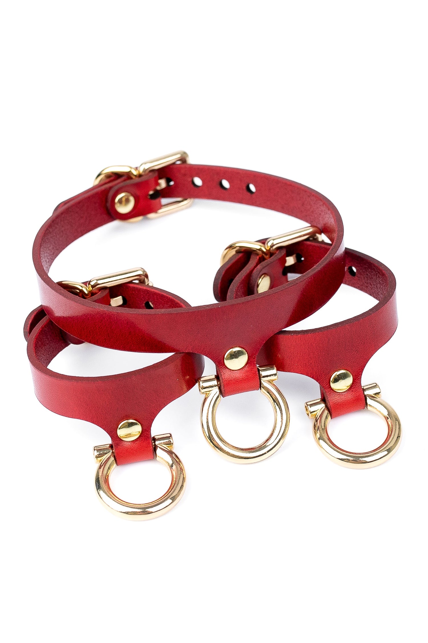 Vegan Harnesses &amp; Accessories: Leather-Free Style