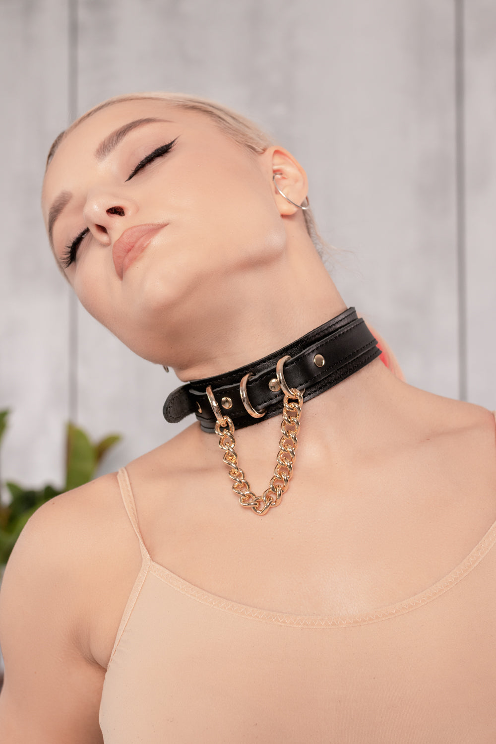 Leather Collar with D-rings and Chain