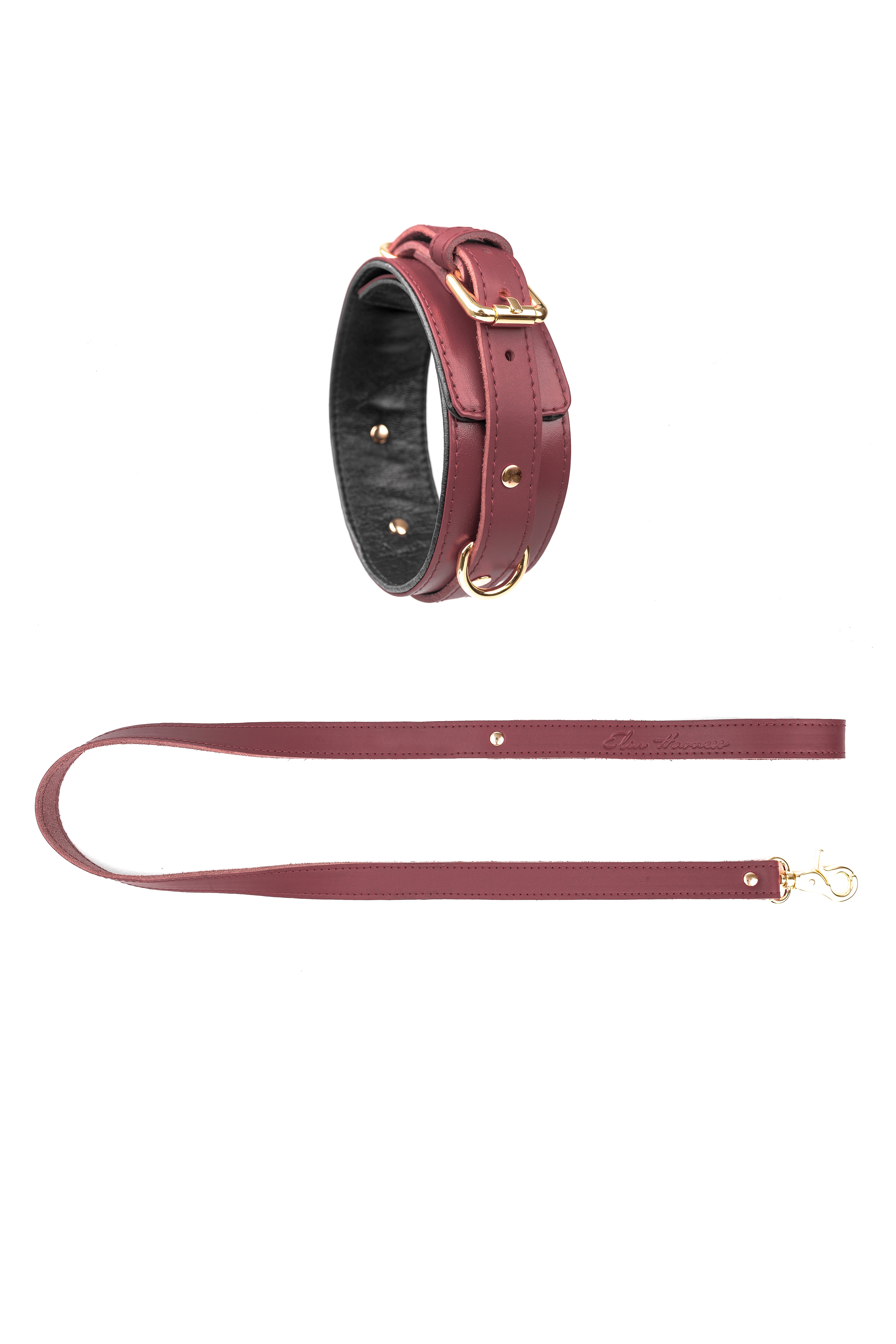 Leather Choker with Leash. 10 colors