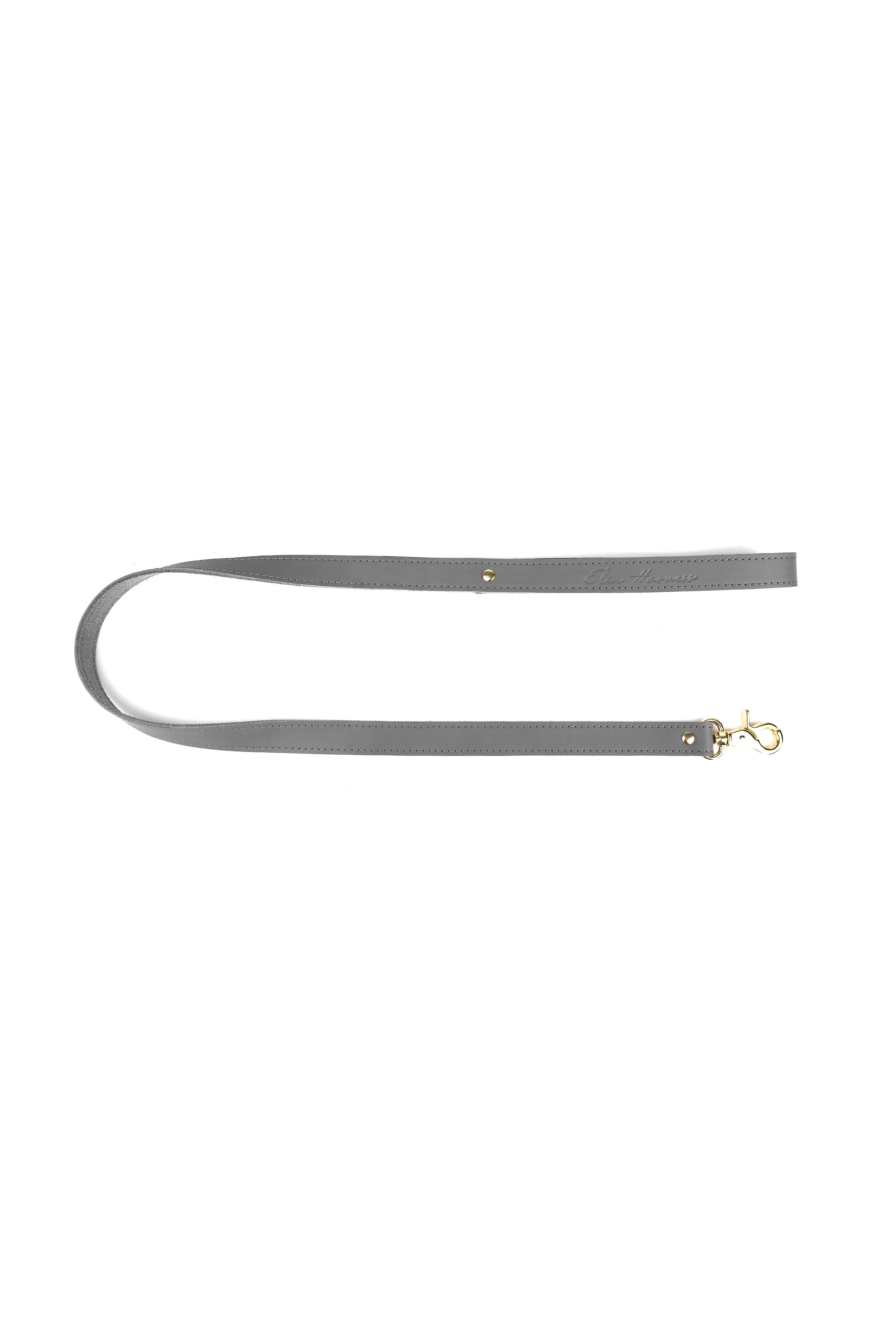 Leather leash. Gray