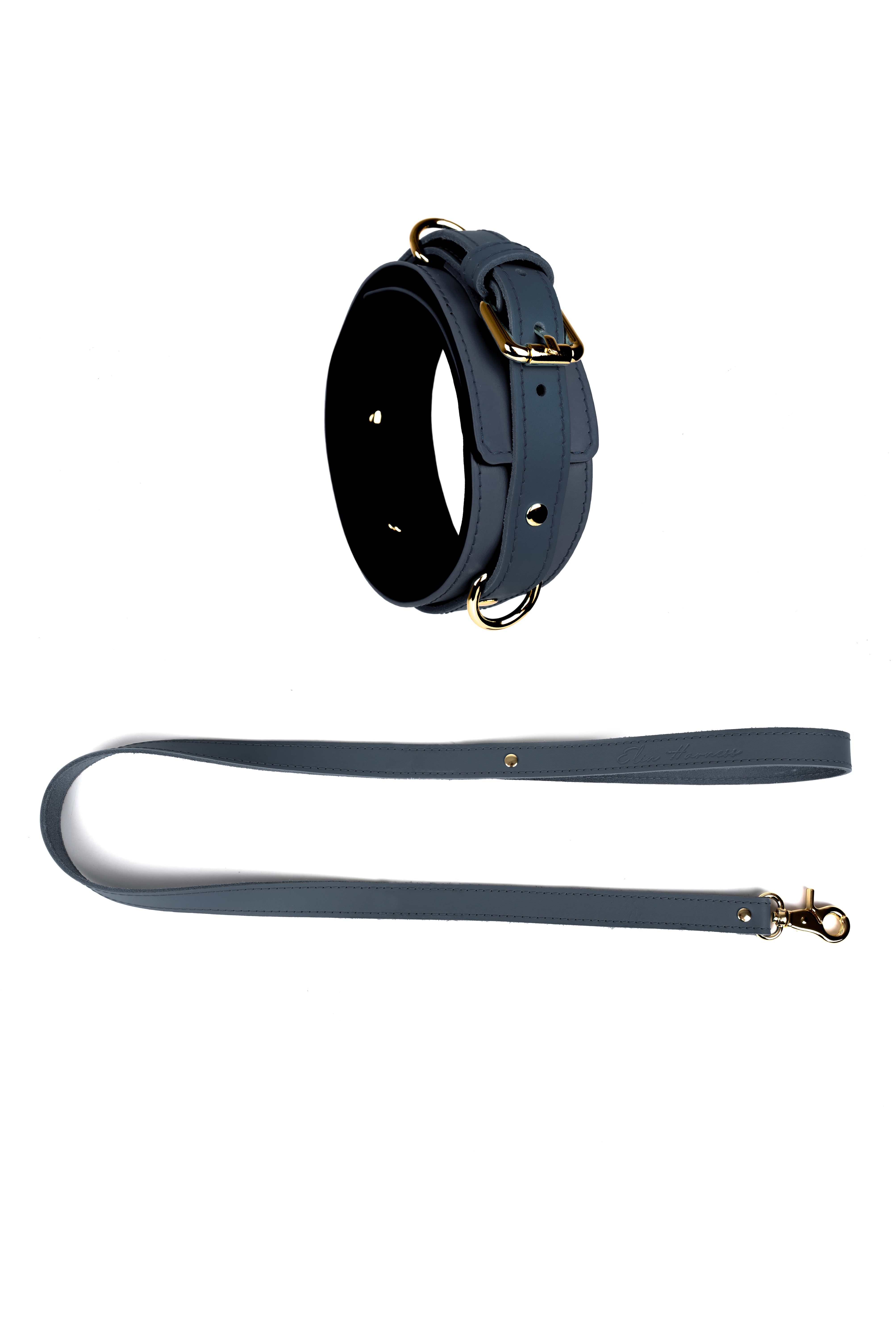 Leather Choker with Leash. 10 colors