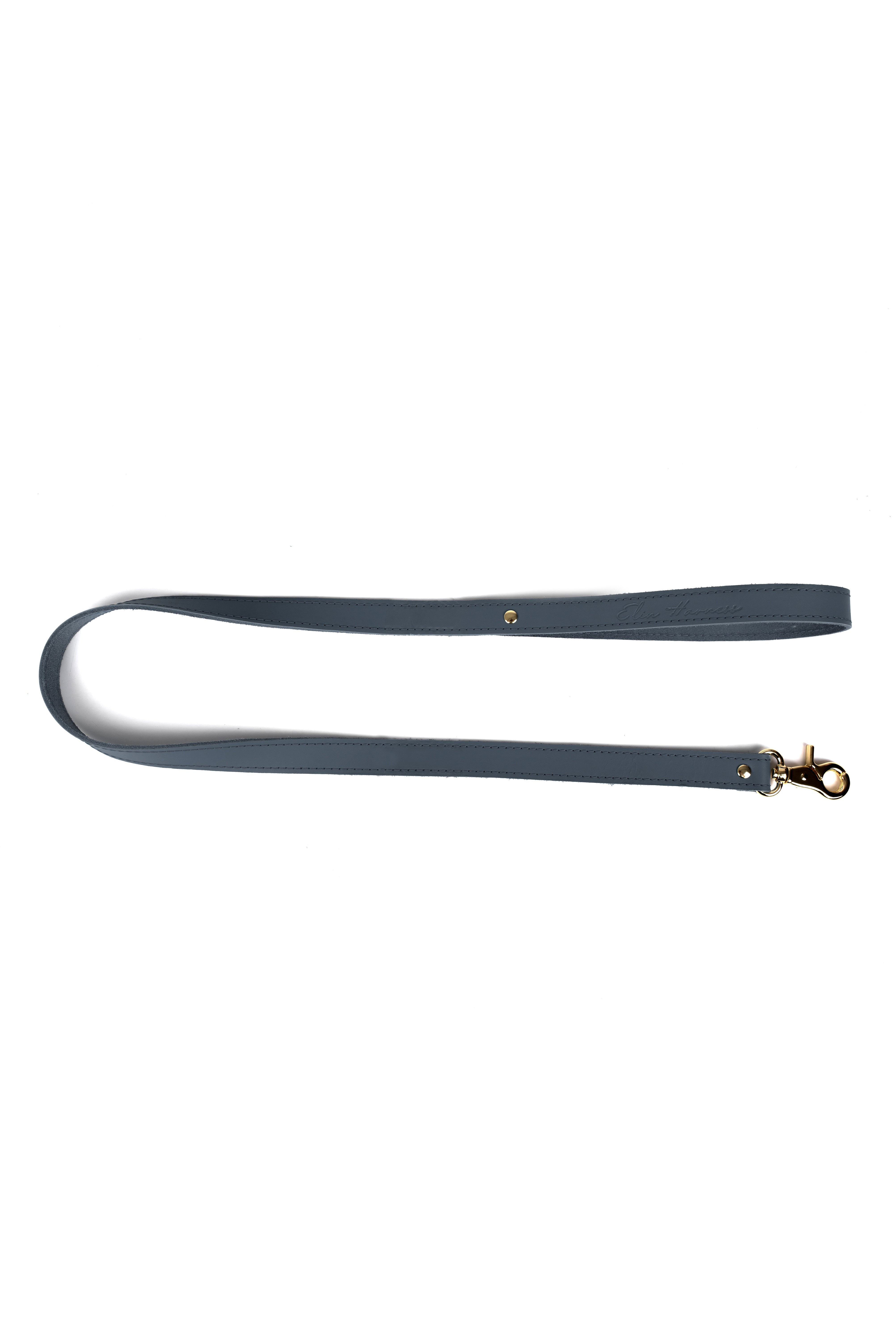 Leather leash. Gray