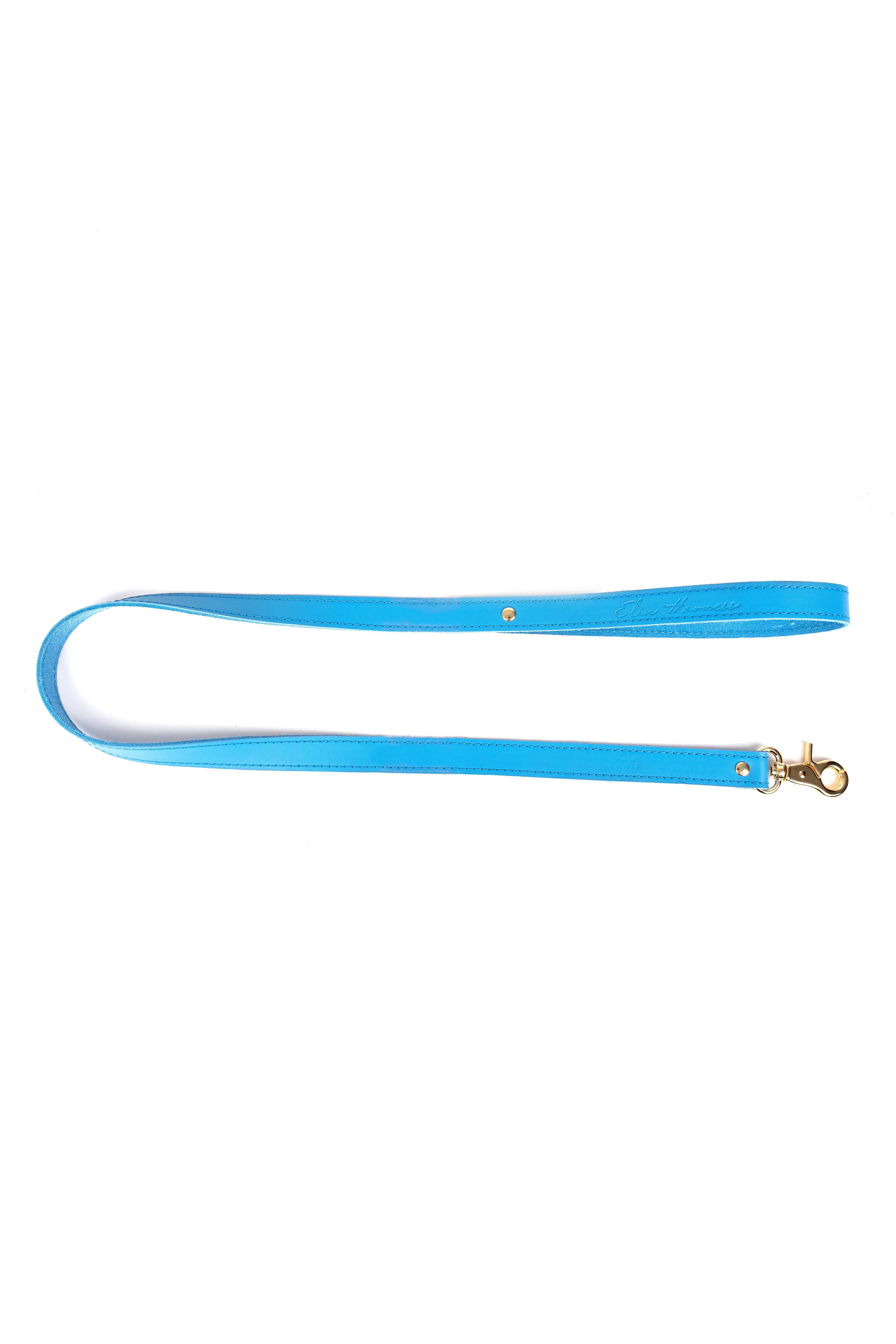 Leather leash. Blue