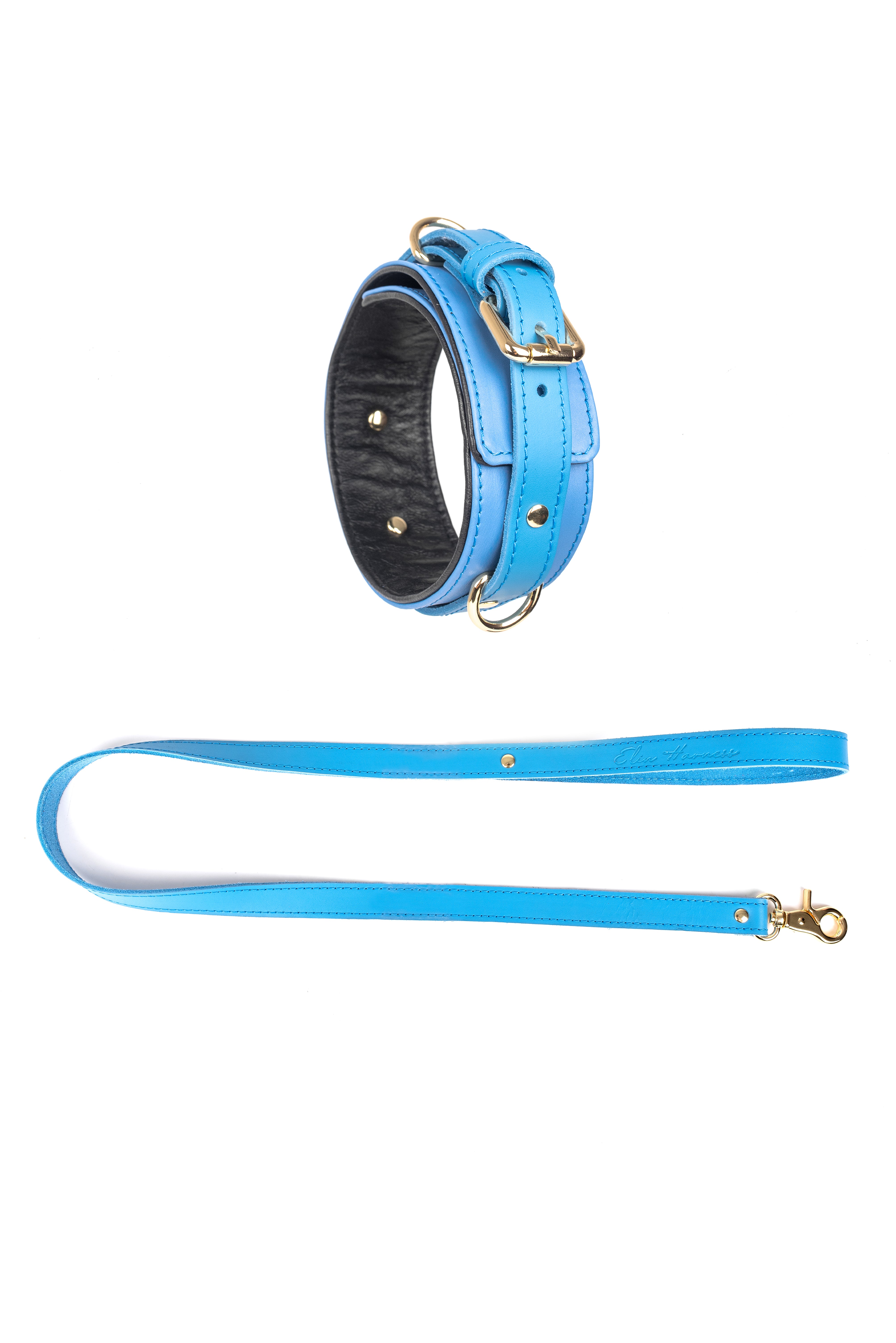 Leather Choker with Leash. 10 colors