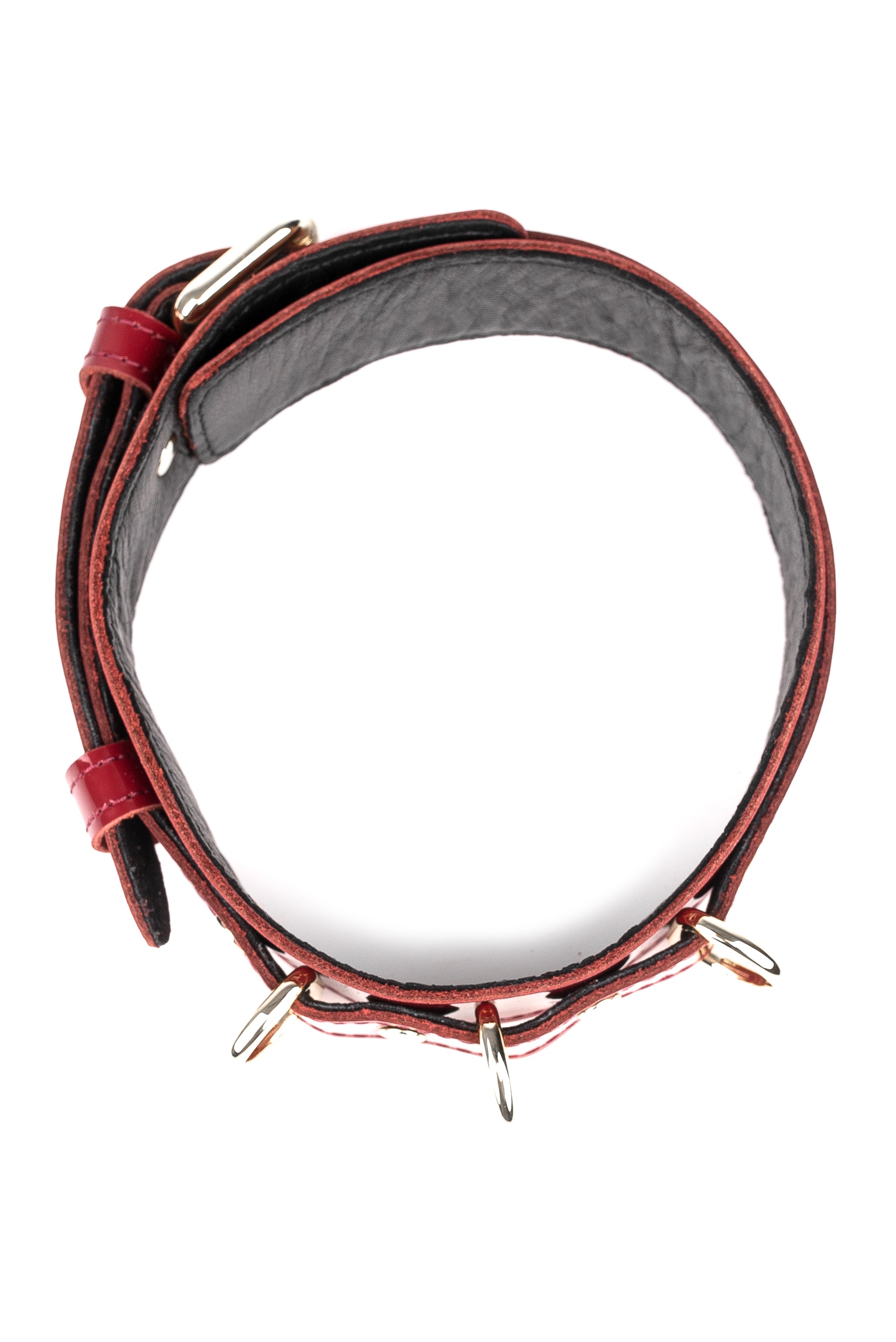 Lacquered Leather Collar with 3 D-rings. Burgundy