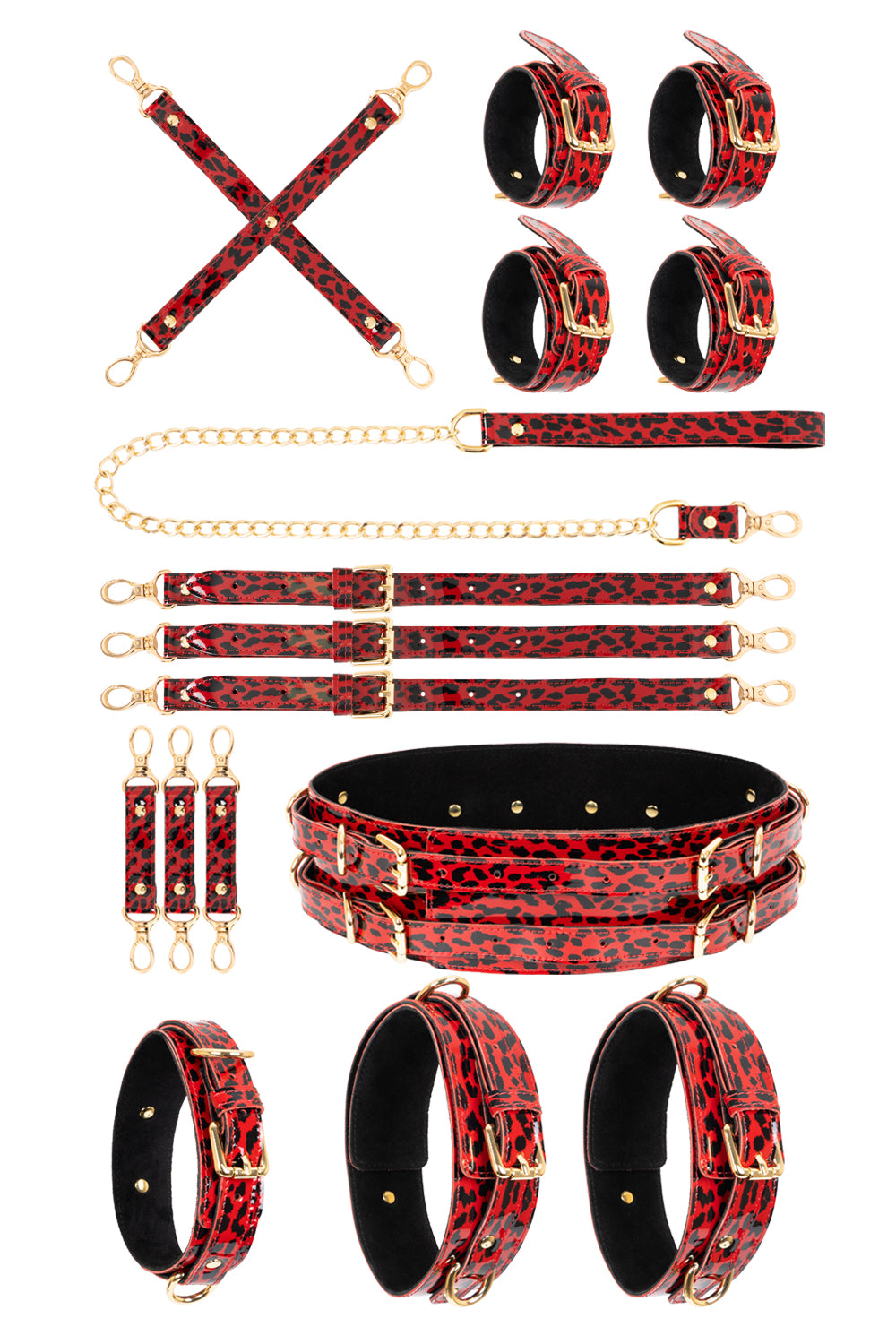 Lacquered leather FULL Set with chain leash. Leopard