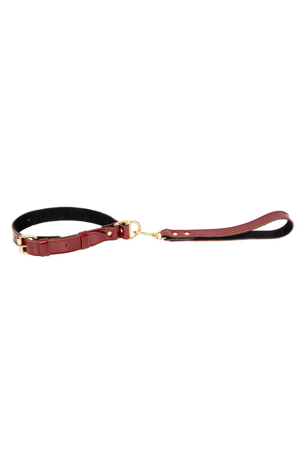 Lacquered leather self-tightening choke collar